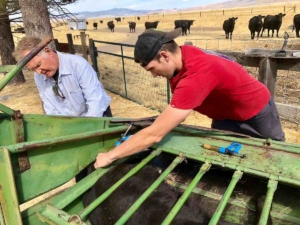 Angelo Genasci working on a hay baler with his dad